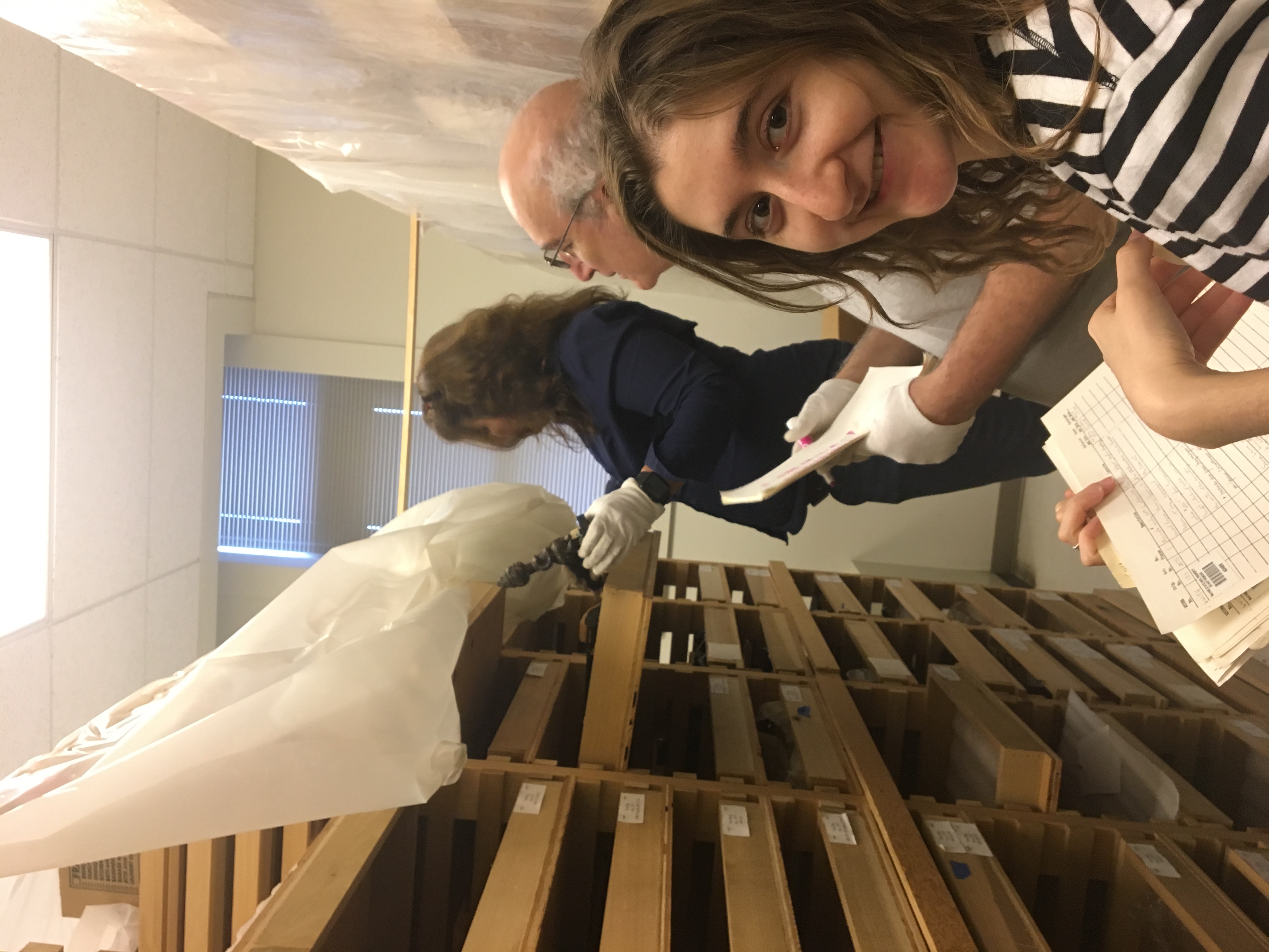 three students looking through collection shelves