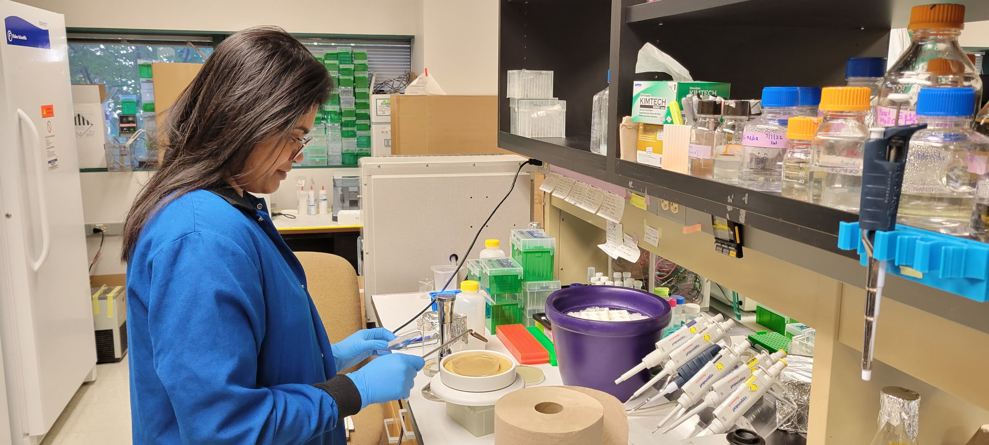 Ph.D. student R.M.P. Imalka Wanigasekara prepares to plate out bacteria
