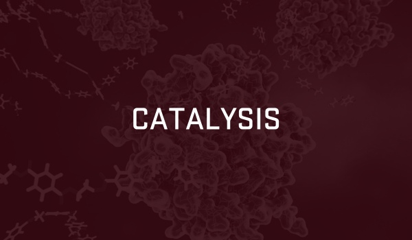 Catalysis