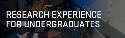 Research Experience for Undergraduates (REU) program